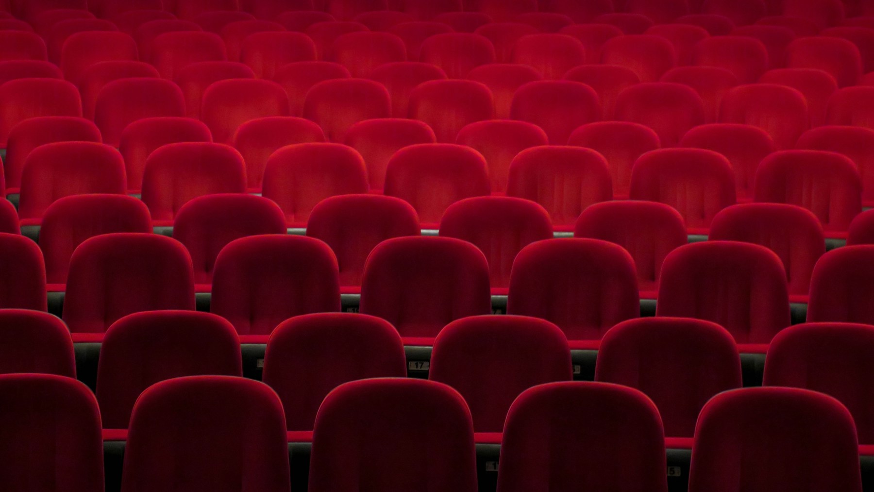 Rows of red seats in a theatre.